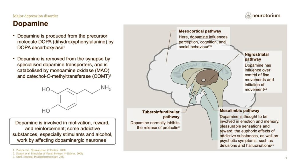 Major Depressive Disorder - Neurobiology and Aetiology - slide 16